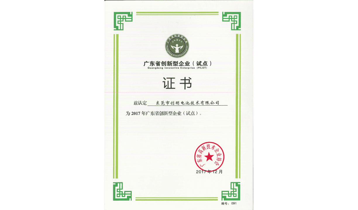 廣東省創新型企業（試點）證書.png